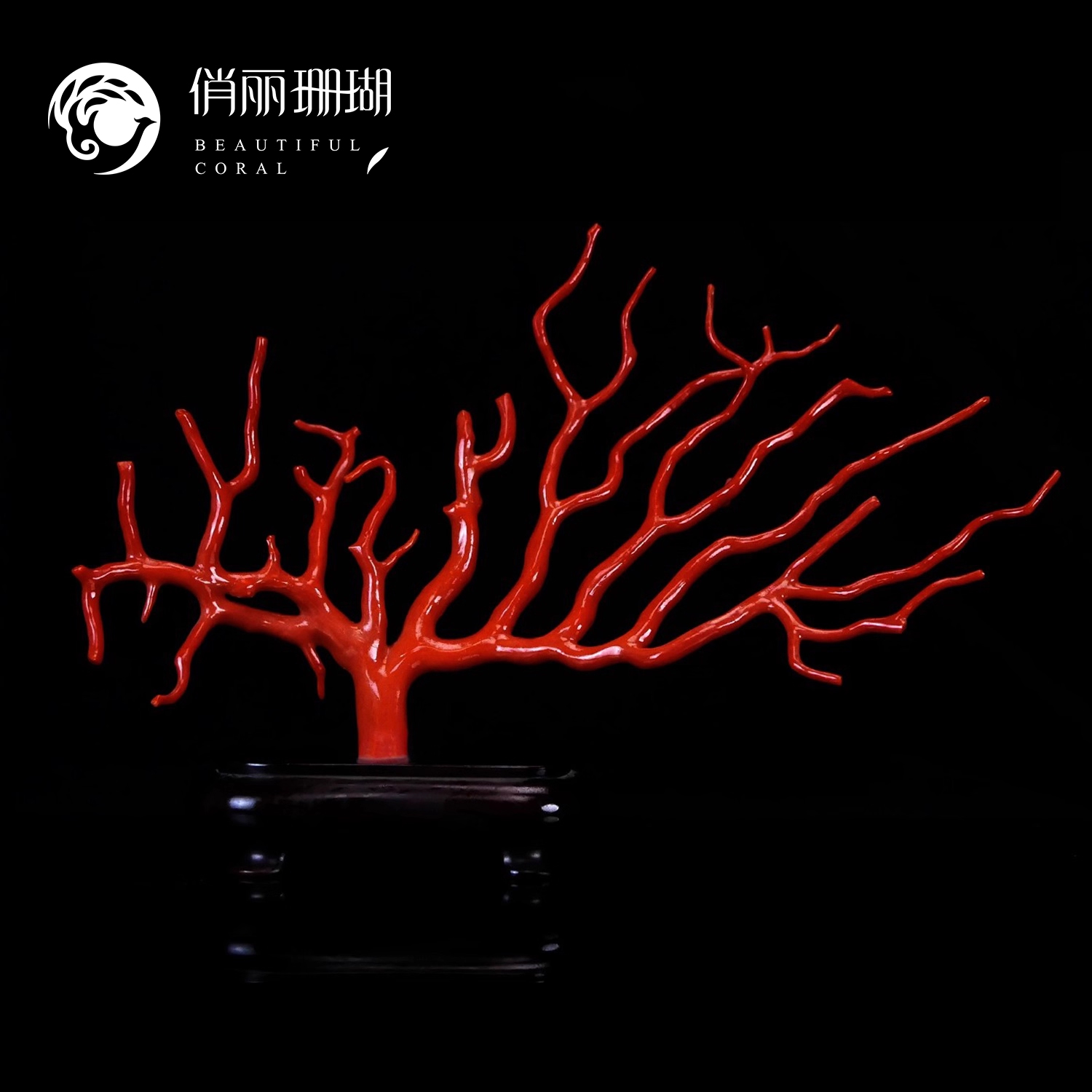 俏丽纯天然红珊瑚原枝摆件