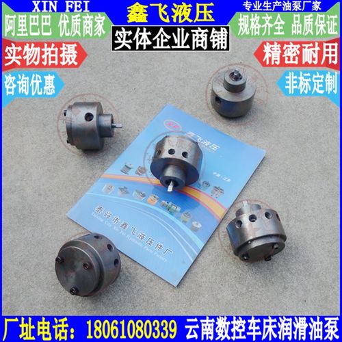 数控机床润滑泵 CY6140A 云南6150主轴箱多孔出油泵CS6140 CK6150