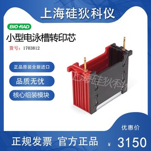 正品 伯乐小型转印芯电泳槽转印芯电转印模块Bio Rad1703812原装