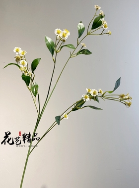 仿真小雏菊野菊花拍摄白色小野花黄色婚庆手捧花洋甘菊花海造景
