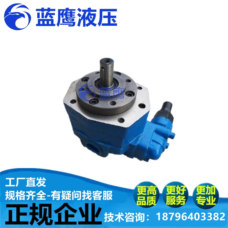 BB-B80Y/B100Y/B125Y摆线泵转子齿轮油泵BB-B63Y1安全阀BB-B125Y2