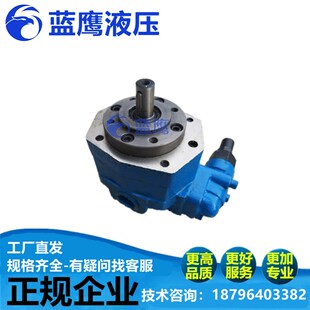 B63Y1安全阀BB B125Y摆线泵转子齿轮油泵BB B100Y B125Y2 B80Y