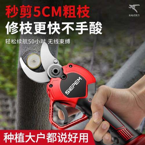 刀德国进口电剪修剪刀果动树充电式液晶枝无线锂电园艺园林TEI粗