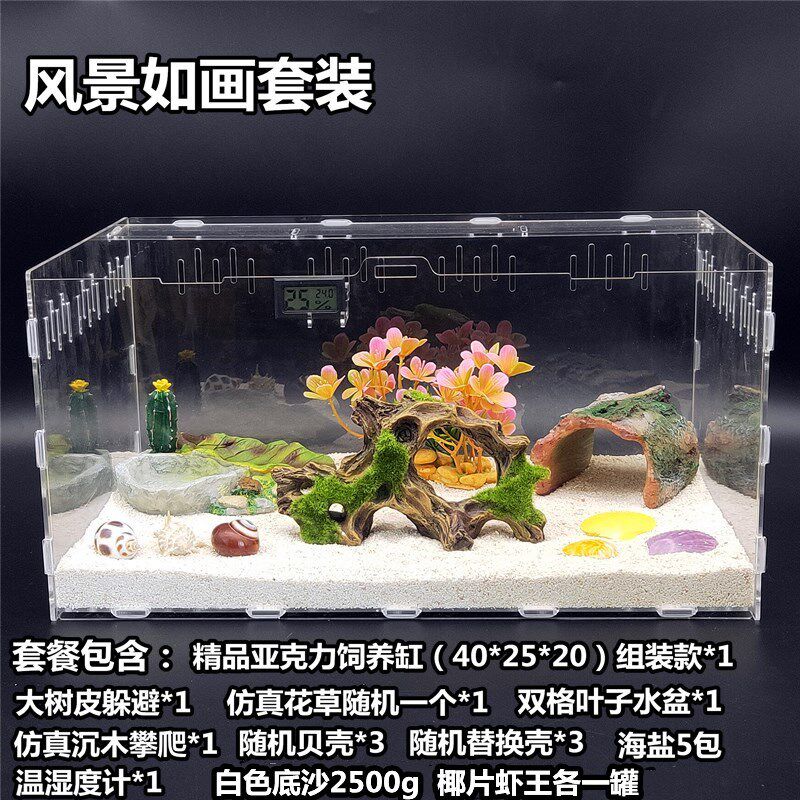 寄居蟹新手儿童套装 草莓 短腕 深紫 灰白寄居蟹 主题套装