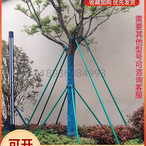 树木支撑架钢管固定器行道树支B撑杆乔木防风园林烤漆镀锌树支撑