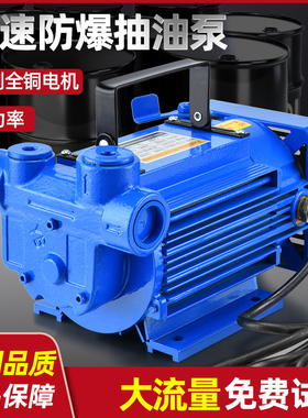 新款汽油泵12V/24V220vv汽油甲醇电动抽油泵自吸防爆油泵抽油设备