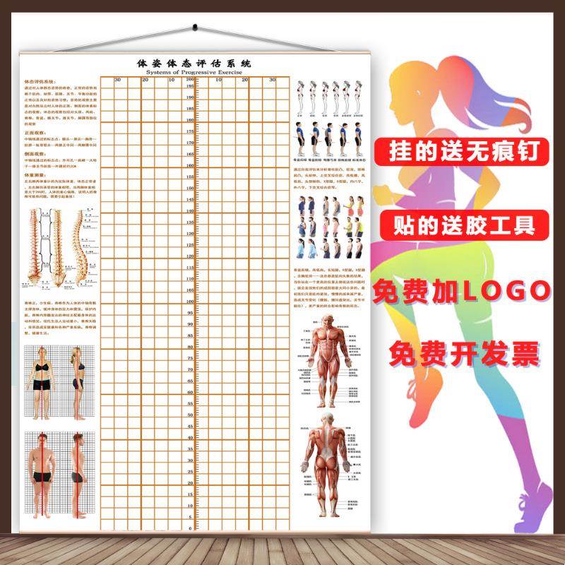 体态评身估矫表墙纸278贴式体健房瑜伽馆私教身体形测姿正网格荣