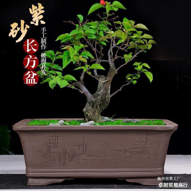 长形槽紫砂花盆马盆院景盆室ZMB内庭简方约绿植陶瓷大号