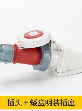 威浦TYP-8802-8819-8824插座明装32A3P4芯5P防水连接器IP67工业插