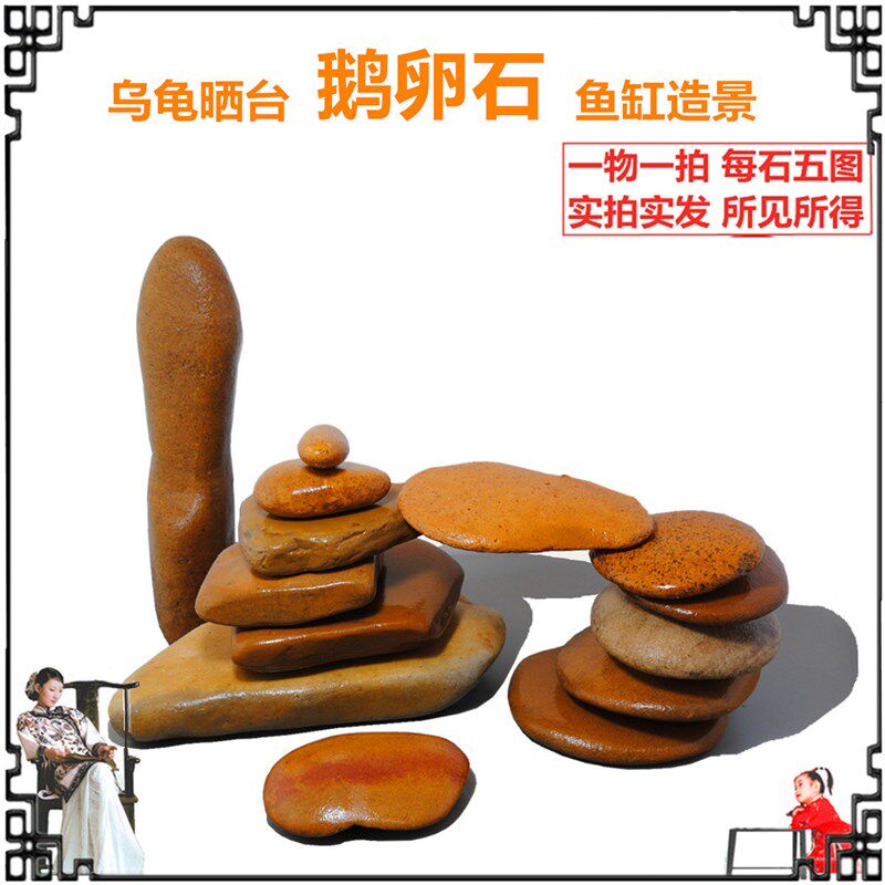 天然乌龟晒背台鹅卵石头鱼缸观赏造景扁平压酸腌菜画画彩绘黄蜡石