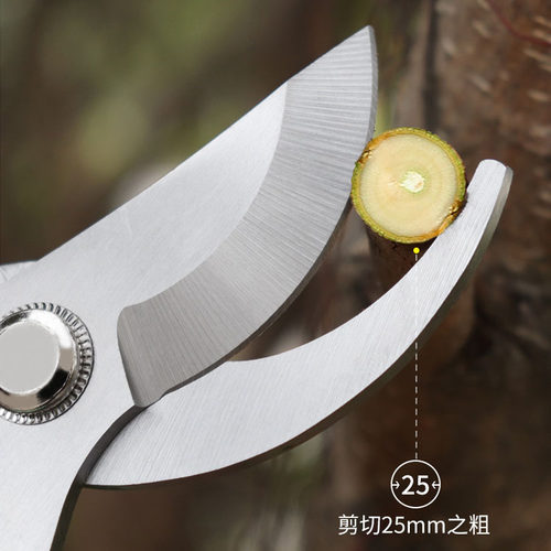 不锈钢果树修枝剪刀树枝剪花卉园林修花剪家用省力粗枝剪花艺剪刀