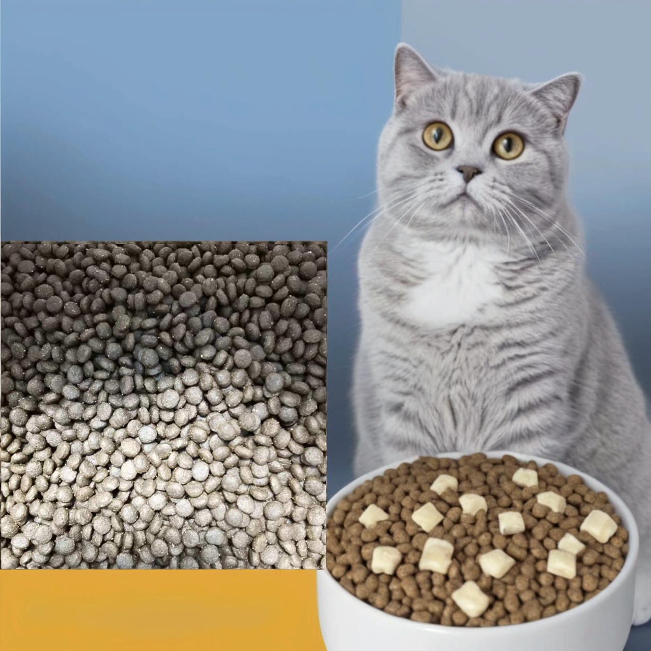 海鲜味猫粮试吃钜惠领券9元750g