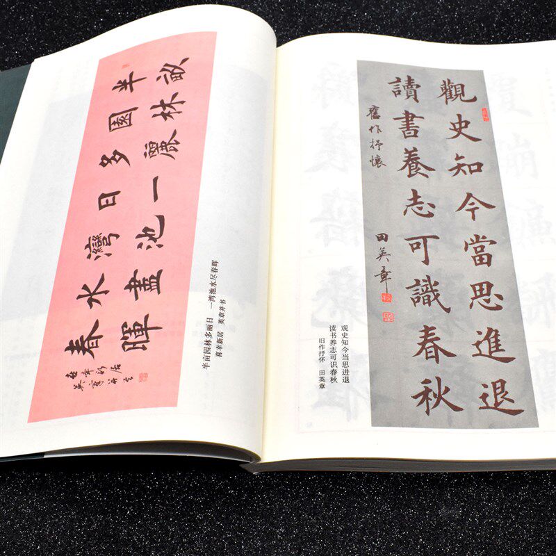 田英章欧体楷书字帖书法教程 初学者毛笔字帖楷书入门 正字简体