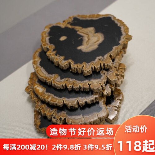 寓石林木化石杯垫新茶室饰品茶桌盘天然石茶几