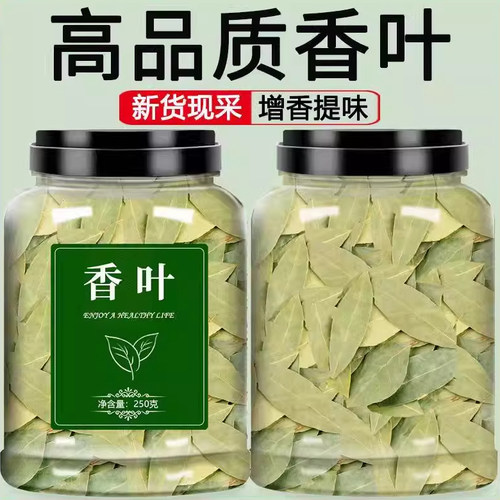 香叶广西非特产月桂叶家用厨房调料香辛料火锅炖煮卤肉餐饮商批发