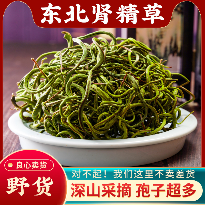 肾精草中药材500g长白山肾精草正品野生肾精茶化石草黄金草嗷嗷叫