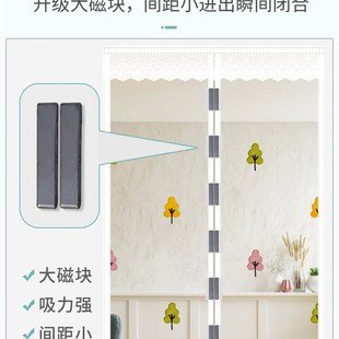 家用免打孔纱网纱窗蚊帐 防蚊磁性门帘儿童卧室纱帘魔术贴隔断夏季