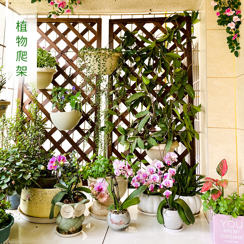 防腐木网格花架户外围栏栅栏墙面装饰屏风隔断庭院网片爬藤架篱笆