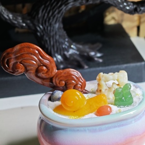 高8.0cm，清供老挝灵芝 太湖石 金色蜗牛 绿竹，完整带盆出