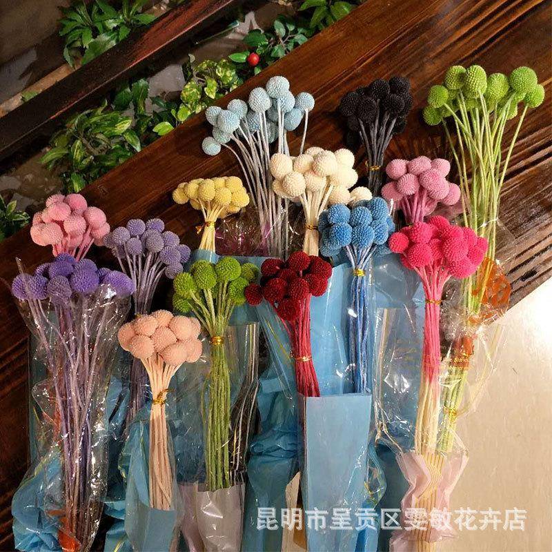 【花黄金金球HJQ】永生花黄金球干花创意装饰 干束黄球插花干花
