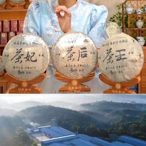 【昌泰普洱】04年昌泰老班章茶王12年茶后薄荷塘12年茶妃冰岛古树