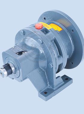 XWD/BLD/BWD系列XLD行星摆线针轮减速机卧式立式减速机直连电机厂