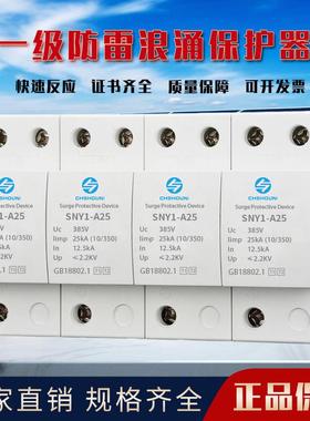 一级浪涌保护器10/350us12.5KA25KA机房配电箱电源工业防雷器limp