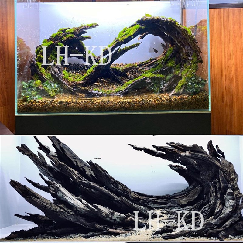 虾木造景镂空鱼虾躲避屋繁殖罐龙骨木观赏水草定植莫斯蜂窝木沉木