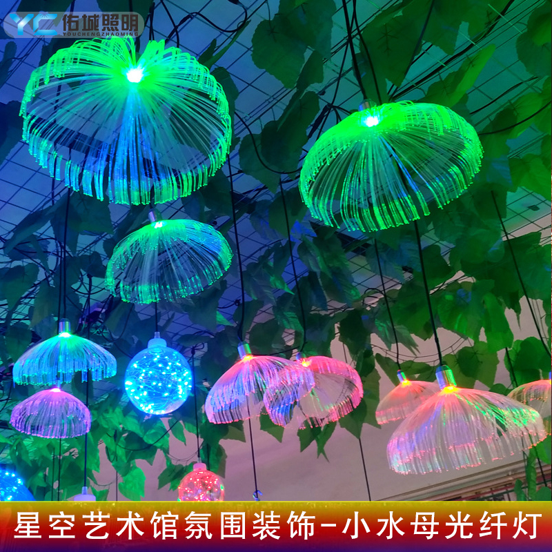 网红户外广场防水光钎彩灯串七彩变色婚礼节日氛围遥控光纤水母灯