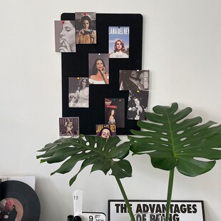 南岛宝社[黑色小角落]ins博主风家居服装咖啡店U墙面装饰毛毡板