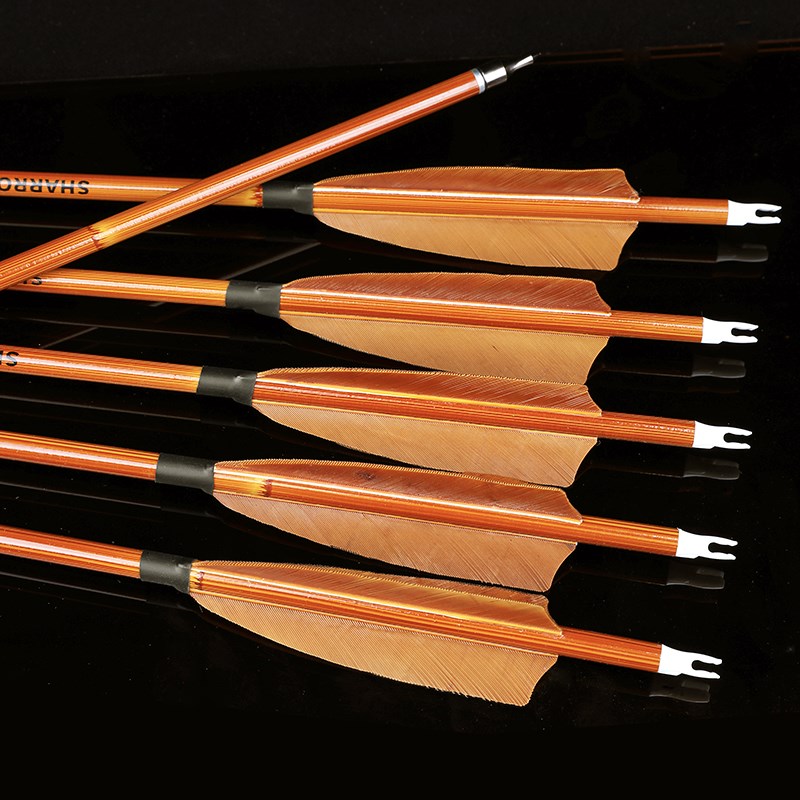 真羽竹纹混碳箭5英寸火鸡羽碳箭传统美猎复合反曲弓练习箭馆真羽