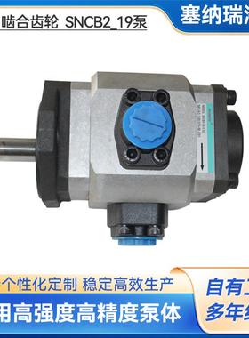 供应Scenery内啮合齿轮泵铸铁SNCB2-19增压齿轮泵液压油泵