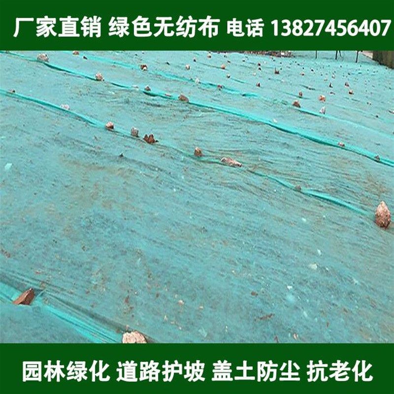 园林绿化绿色无纺布整卷工地防尘盖土布草坪边坡护坡植草籽覆盖布,纺织面料/辅料/配套,土工布,淘宝优惠券,粉丝福利购,淘宝优惠卷
