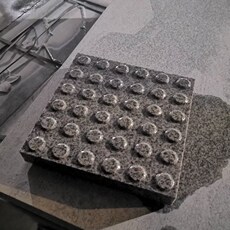 Белая книга
