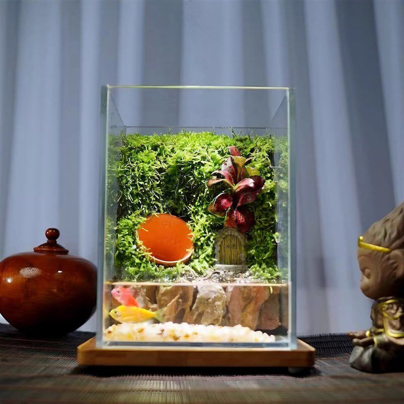 苔藓微景观生态瓶雨林缸造景闷养桌面办公室植物盆景绿植养鱼缸