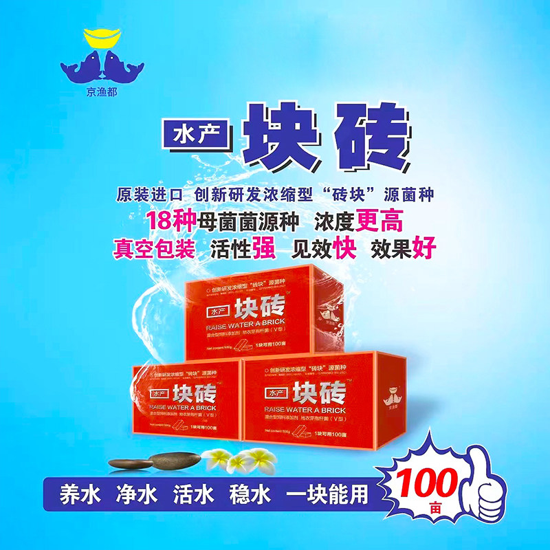 一块砖水产养殖复合乳酸菌枯草芽孢杆菌鱼虾蟹塘EM菌种肥水调