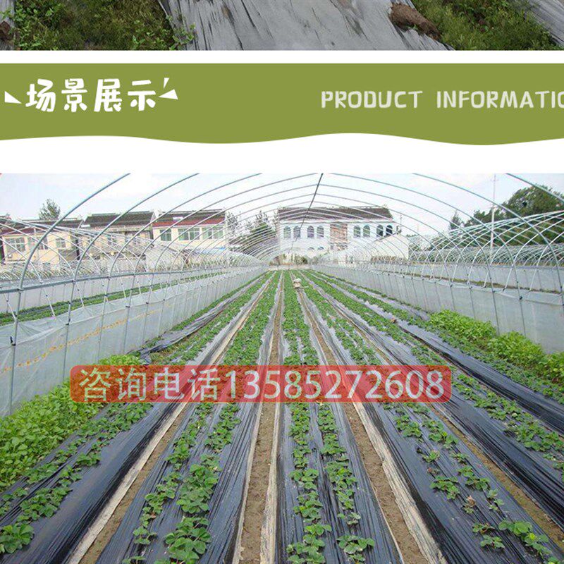黑地膜塑料薄膜农用黑色地膜蔬菜果树苗保温草莓防草银黑地膜