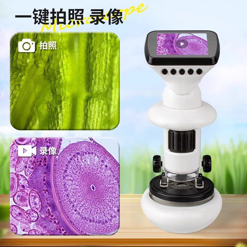 显微镜六一儿童节礼物中小学生专用便携式可看细菌玩具女男孩生日
