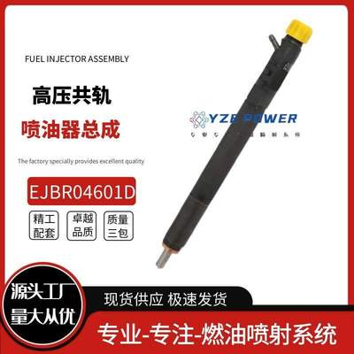 EJBR04601D适用双龙路帝2.7T德尔福喷油器A6650170321雷斯特五缸