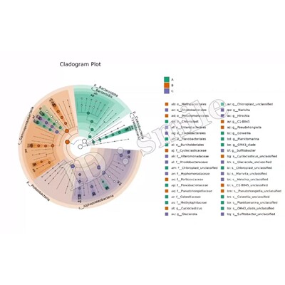 R语言统计分析 远程代码指导 数据挖掘