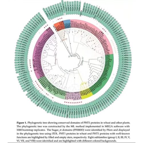 生信套餐SCI定制 生信分析TCGA/GEO数据库挖掘 多组学思路设计