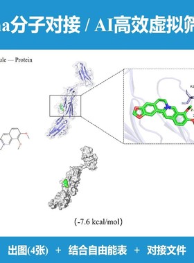 分子对接Vina/虚拟筛选Vina+高效AI