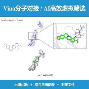 分子对接Vina/虚拟筛选Vina+高效AI