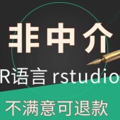 R语言代做shiny可视化时间序列R统计rstudio数据分析实证代码 编程