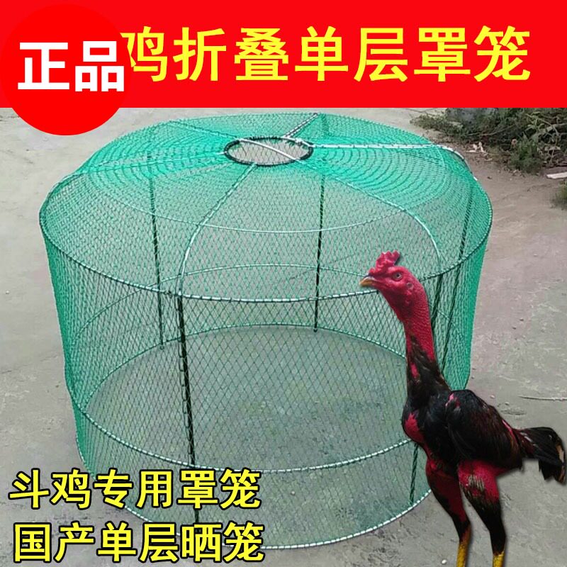 斗鸡斗鸡用品斗鸡跑笼斗鸡单层跑笼斗鸡罩笼斗鸡训练用品跑笼