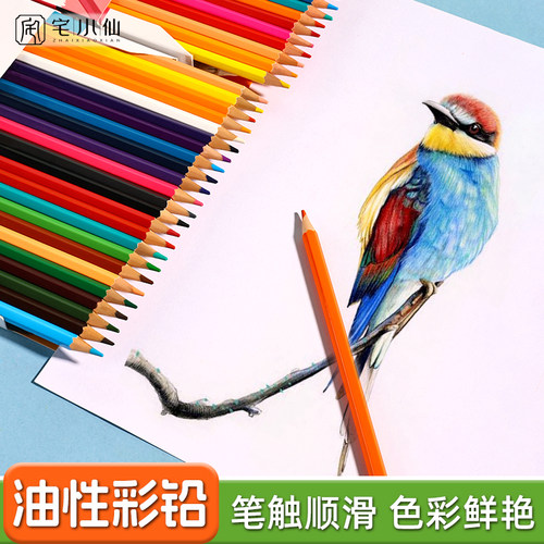 彩色铅笔可擦彩e色铅笔不断铅24色专业画师教学美术生彩铅画笔彩