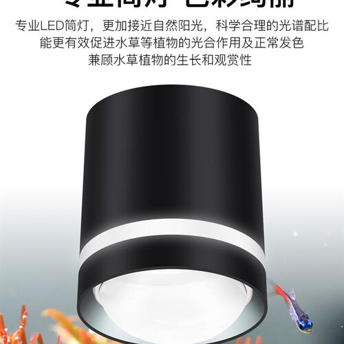 鱼缸客厅造景生态2024新款中型小型玻璃超白水草植物背滤水族箱