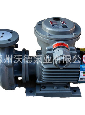 Aulank导热油泵RGZ-30EX卧式高温旋涡泵管道W循环热水热油泵