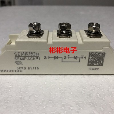 SKKD46/16 SKKD81/12/14/16E 全新西门康 整流二极管模块 包用