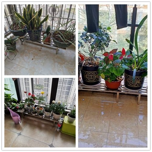 不锈钢阳台花架室内户外多肉绿萝架子铁艺落地式花盆架单层置物架